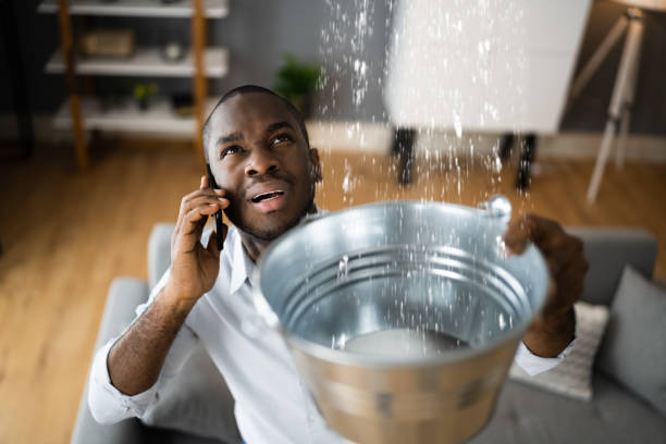 Best Professional water damage repair  in Bridgewater Center, NJ