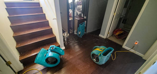 Best Flooded house restoration  in Bridgewater Center, NJ