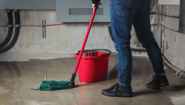 Best Water damage cleanup near me  in Bridgewater Center, NJ