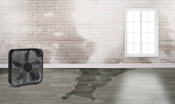 Best Water damage restoration insurance claims  in Bridgewater Center, NJ