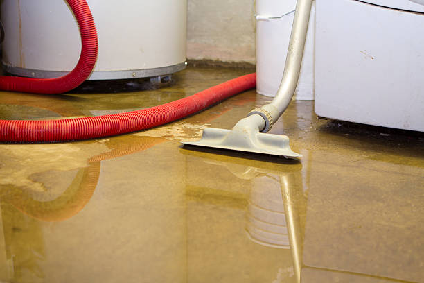 Best Basement water damage restoration  in Bridgewater Center, NJ