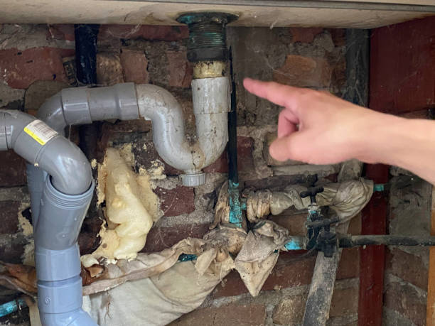 Best Fire Damage Restoration  in Bridgewater Center, NJ